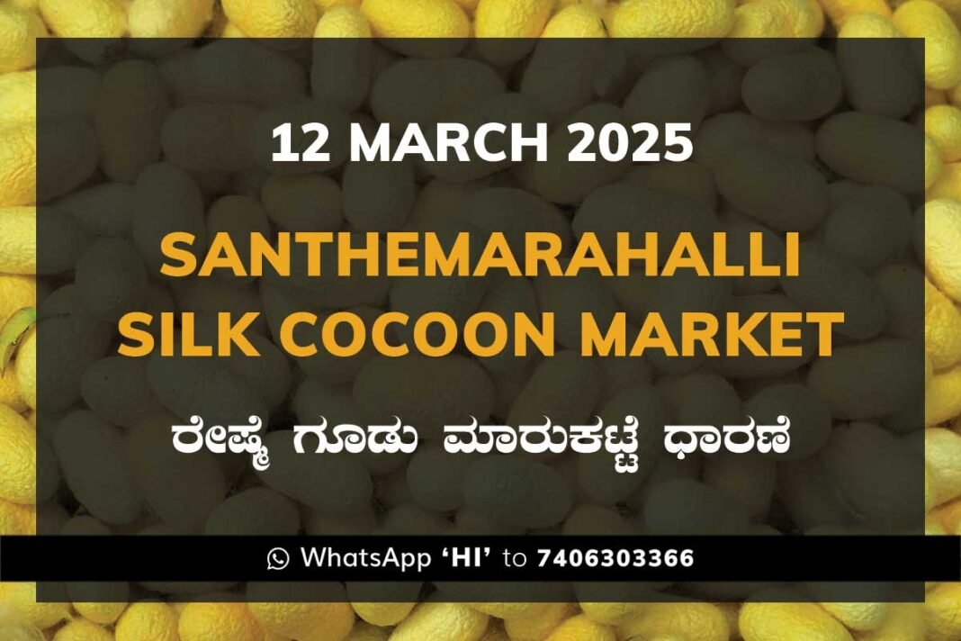 Silk Santhemarahalli Santemarahalli Government Cocoon Market ಸಂತೇಮರಹಳ್ಳಿ ರೇಷ್ಮೆ ಗೂಡು ಮಾರುಕಟ್ಟೆ ಧಾರಣೆ