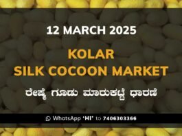 Kolar Silk Cocoon Market Price Rate ಕೋಲಾರ ರೇಷ್ಮೆ ಗೂಡು ಮಾರುಕಟ್ಟೆ ಧಾರಣೆ