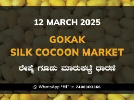 Gokak Government Silk Cocoon Market Daily Rate Report ಗೋಕಾಕ್ ರೇಷ್ಮೆ ಗೂಡು ಮಾರುಕಟ್ಟೆ ಧಾರಣೆ