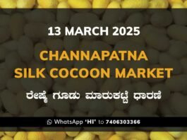 Channapatna Silk Cocoon Market Price Rate ಚನ್ನಪಟ್ಟಣ ರೇಷ್ಮೆ ಗೂಡು ಮಾರುಕಟ್ಟೆ ಧಾರಣೆ