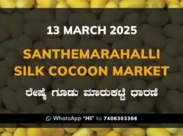 Silk Santhemarahalli Santemarahalli Government Cocoon Market ಸಂತೇಮರಹಳ್ಳಿ ರೇಷ್ಮೆ ಗೂಡು ಮಾರುಕಟ್ಟೆ ಧಾರಣೆ