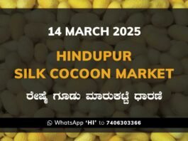 Hindupur Government Silk Cocoon Market Daily Rate Report ಹಿಂದೂಪುರ ರೇಷ್ಮೆ ಗೂಡು ಮಾರುಕಟ್ಟೆ ಧಾರಣೆ