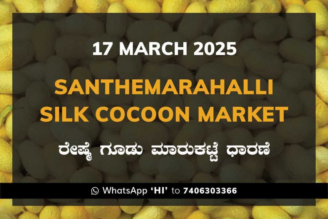 Silk Santhemarahalli Santemarahalli Government Cocoon Market ಸಂತೇಮರಹಳ್ಳಿ ರೇಷ್ಮೆ ಗೂಡು ಮಾರುಕಟ್ಟೆ ಧಾರಣೆ