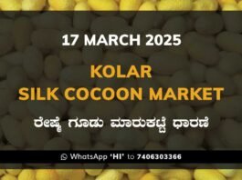 Kolar Silk Cocoon Market Price Rate ಕೋಲಾರ ರೇಷ್ಮೆ ಗೂಡು ಮಾರುಕಟ್ಟೆ ಧಾರಣೆ