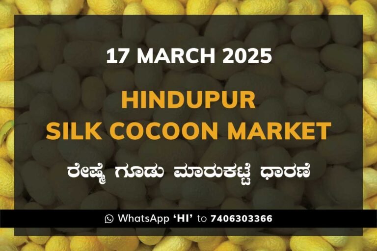 Hindupur Government Silk Cocoon Market Daily Rate Report ಹಿಂದೂಪುರ ರೇಷ್ಮೆ ಗೂಡು ಮಾರುಕಟ್ಟೆ ಧಾರಣೆ