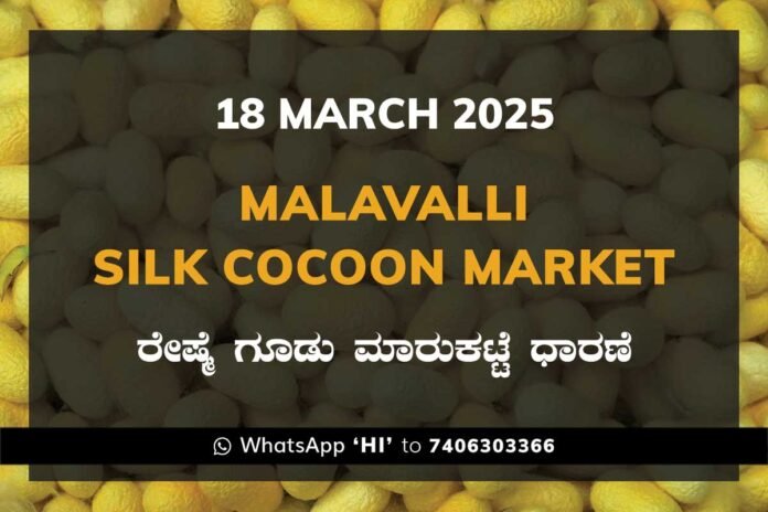 18MarKd Malavalli Silk Cocoon Market Price Rate ಮಳವಳ್ಳಿ ರೇಷ್ಮೆ ಗೂಡು ಮಾರುಕಟ್ಟೆ ಧಾರಣೆ