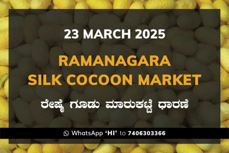 Gokak Government Silk Cocoon Market Daily Rate Report ಗೋಕಾಕ್ ರೇಷ್ಮೆ ಗೂಡು ಮಾರುಕಟ್ಟೆ ಧಾರಣೆ