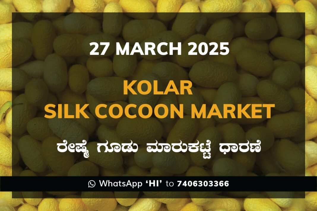 Kolar Silk Cocoon Market Price Rate ಕೋಲಾರ ರೇಷ್ಮೆ ಗೂಡು ಮಾರುಕಟ್ಟೆ ಧಾರಣೆ