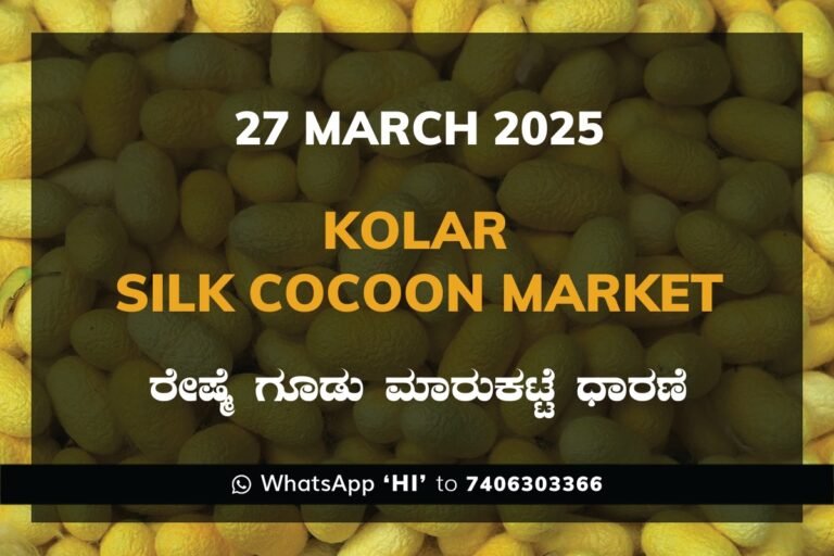 Kolar Silk Cocoon Market Price Rate ಕೋಲಾರ ರೇಷ್ಮೆ ಗೂಡು ಮಾರುಕಟ್ಟೆ ಧಾರಣೆ