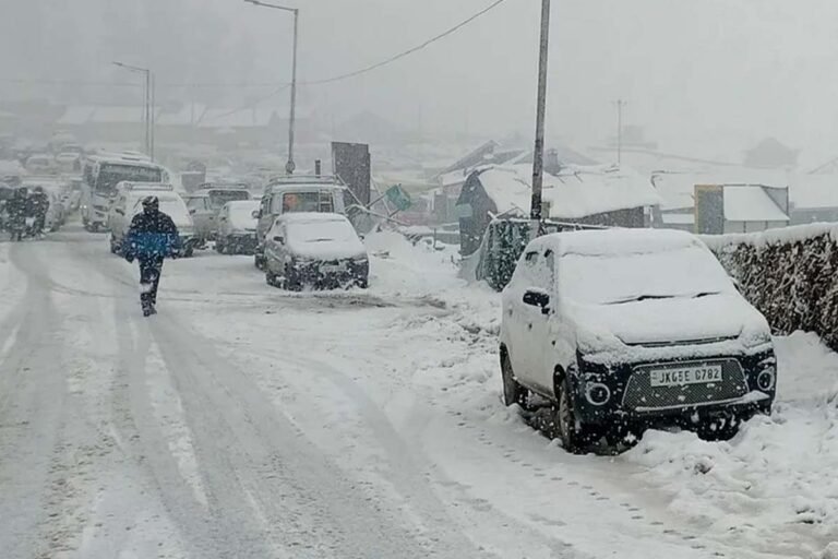 Kashmir