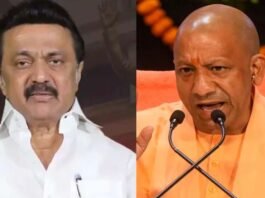 Stalin and Yogi