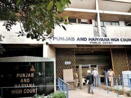 Punjab High Court