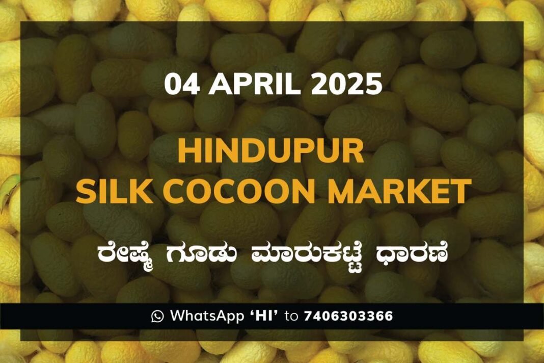 Hindupur Government Silk Cocoon Market Daily Rate Report ಹಿಂದೂಪುರ ರೇಷ್ಮೆ ಗೂಡು ಮಾರುಕಟ್ಟೆ ಧಾರಣೆ