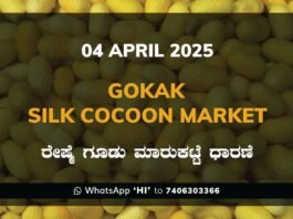 Gokak Government Silk Cocoon Market Daily Rate Report ಗೋಕಾಕ್ ರೇಷ್ಮೆ ಗೂಡು ಮಾರುಕಟ್ಟೆ ಧಾರಣೆ