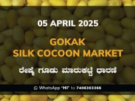 Gokak Government Silk Cocoon Market Daily Rate Report ಗೋಕಾಕ್ ರೇಷ್ಮೆ ಗೂಡು ಮಾರುಕಟ್ಟೆ ಧಾರಣೆ