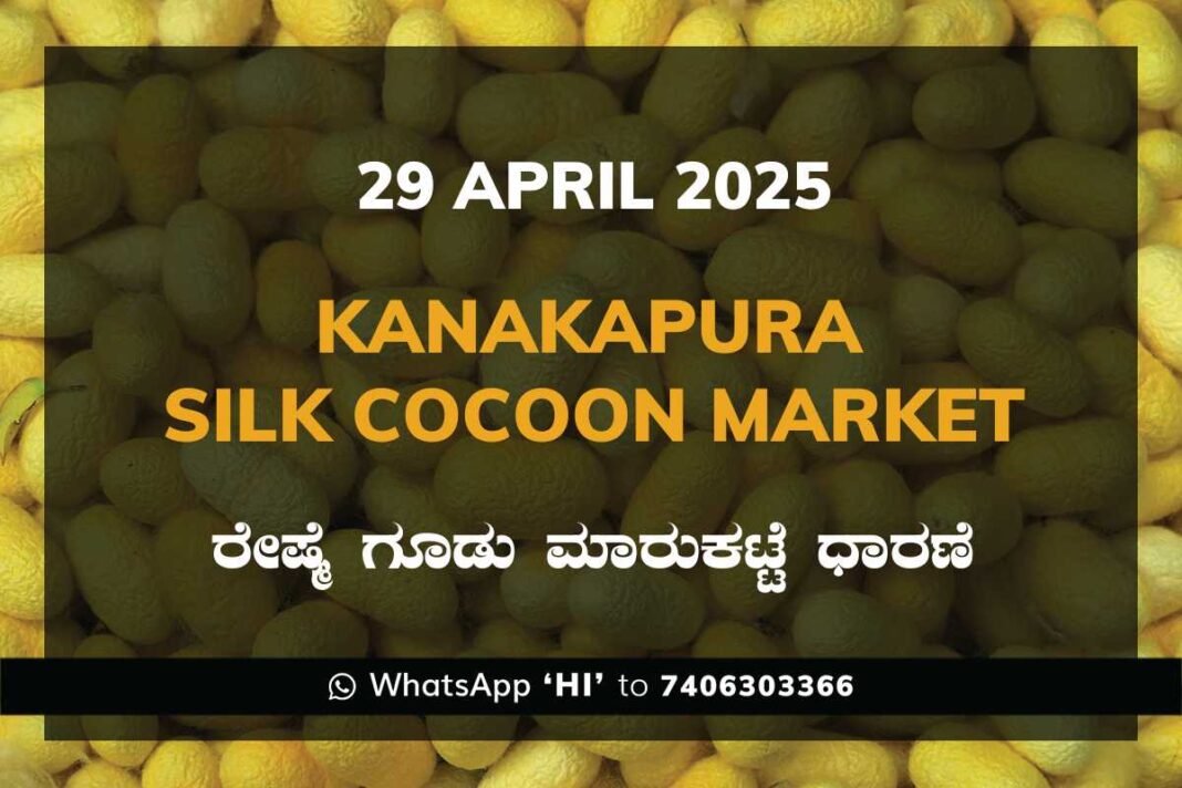 Kanakapura Silk Cocoon Market ಕನಕಪುರ ರೇಷ್ಮೆ ಗೂಡು ಮಾರುಕಟ್ಟೆ ಧಾರಣೆ