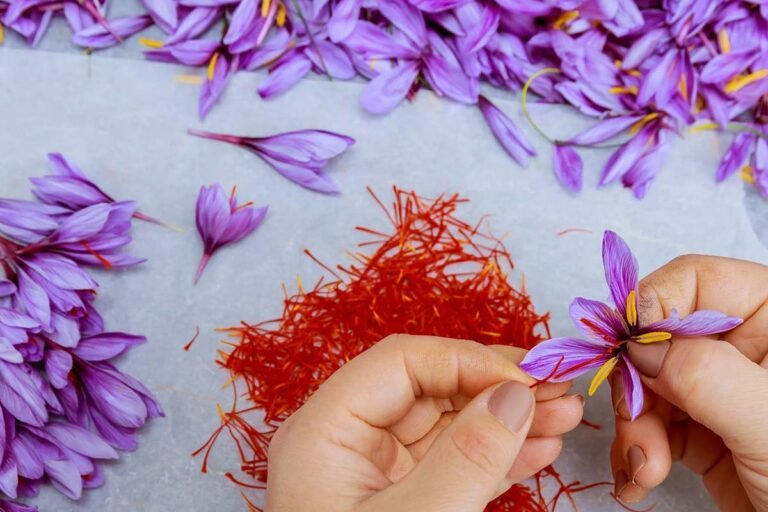 Saffron