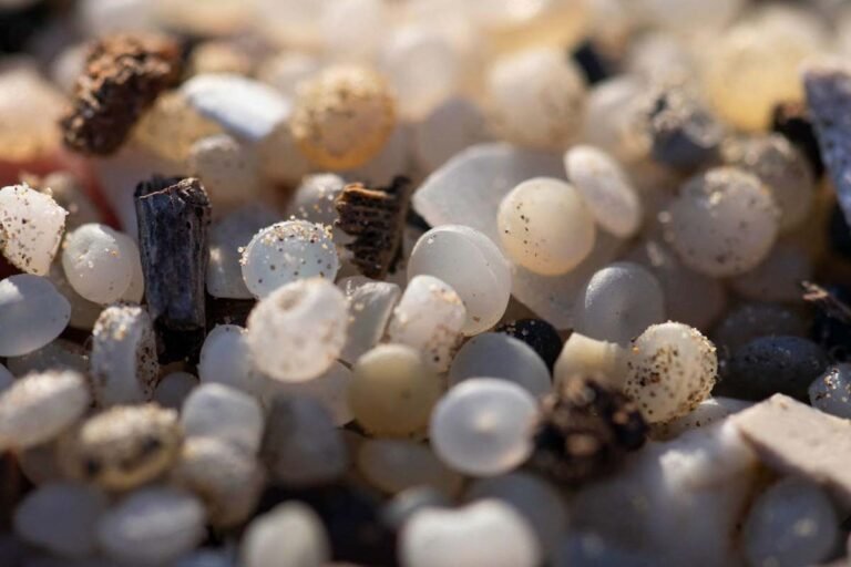 Microplastics
