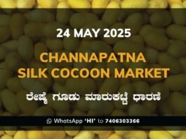 Channapatna Silk Cocoon Market Price Rate ಚನ್ನಪಟ್ಟಣ ರೇಷ್ಮೆ ಗೂಡು ಮಾರುಕಟ್ಟೆ ಧಾರಣೆ