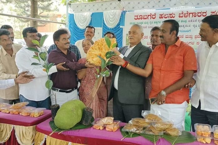 Doddaballapur Tubagere Jackfruit Patent