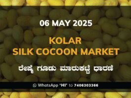 Kolar Silk Cocoon Market Price Rate ಕೋಲಾರ ರೇಷ್ಮೆ ಗೂಡು ಮಾರುಕಟ್ಟೆ ಧಾರಣೆ