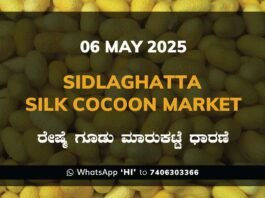 Sidlaghatta Silk Cocoon Market Price Rate ಶಿಡ್ಲಘಟ್ಟ ರೇಷ್ಮೆ ಗೂಡು ಮಾರುಕಟ್ಟೆ ಧಾರಣೆ