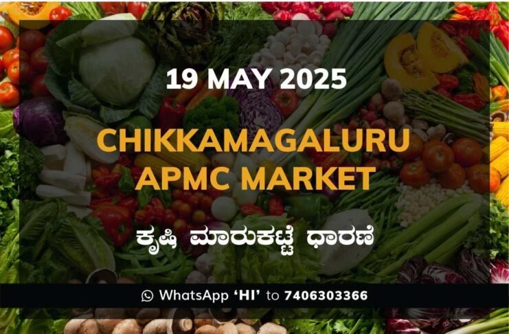 Chikkamagaluru APMC Agriculture Market