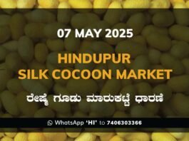 Hindupur Government Silk Cocoon Market Daily Rate Report ಹಿಂದೂಪುರ ರೇಷ್ಮೆ ಗೂಡು ಮಾರುಕಟ್ಟೆ ಧಾರಣೆ