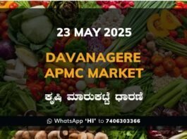 Davanagere APMC Agriculture Market Daily Price Rate List ದಾವಣಗೆರೆ ಕೃಷಿ ಮಾರುಕಟ್ಟೆ ಧಾರಣೆ