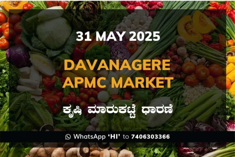 Davanagere APMC Agriculture Market Daily Price Rate List ದಾವಣಗೆರೆ ಕೃಷಿ ಮಾರುಕಟ್ಟೆ ಧಾರಣೆ