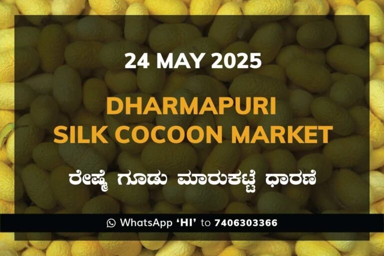Dharmapuri Government Silk Cocoon Market Daily Rate Report ಧರ್ಮಪುರಿ ರೇಷ್ಮೆ ಗೂಡು ಮಾರುಕಟ್ಟೆ ಧಾರಣೆ