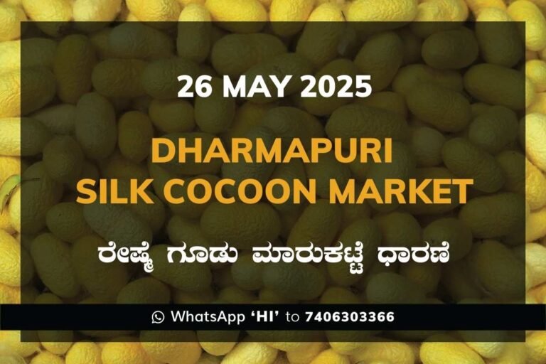 Dharmapuri Government Silk Cocoon Market Daily Rate Report ಧರ್ಮಪುರಿ ರೇಷ್ಮೆ ಗೂಡು ಮಾರುಕಟ್ಟೆ ಧಾರಣೆ