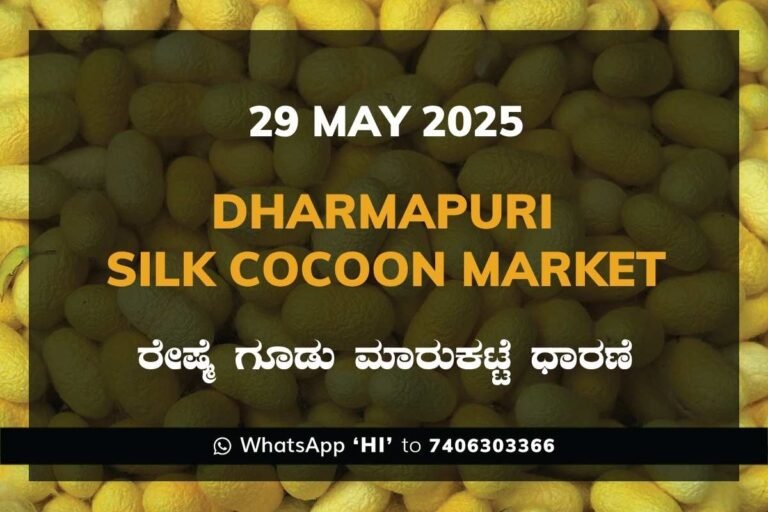 Dharmapuri Government Silk Cocoon Market Daily Rate Report ಧರ್ಮಪುರಿ ರೇಷ್ಮೆ ಗೂಡು ಮಾರುಕಟ್ಟೆ ಧಾರಣೆ