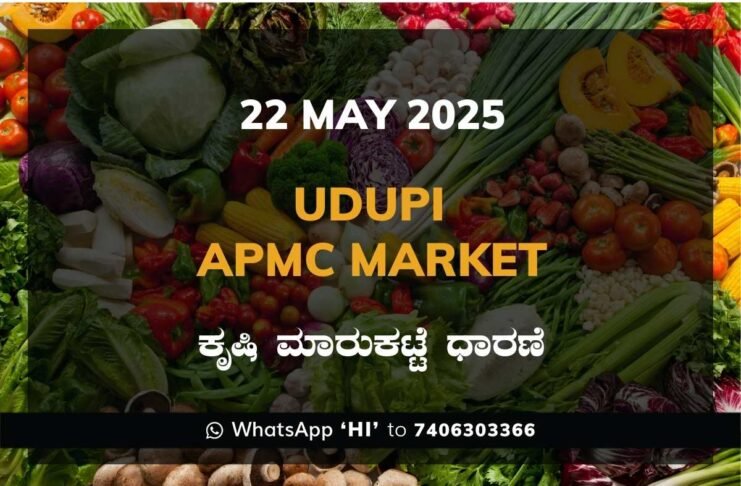 Udupi APMC Agriculture Market Daily Price Report ಉಡುಪಿ ಕೃಷಿ ಮಾರುಕಟ್ಟೆ ಧಾರಣೆ