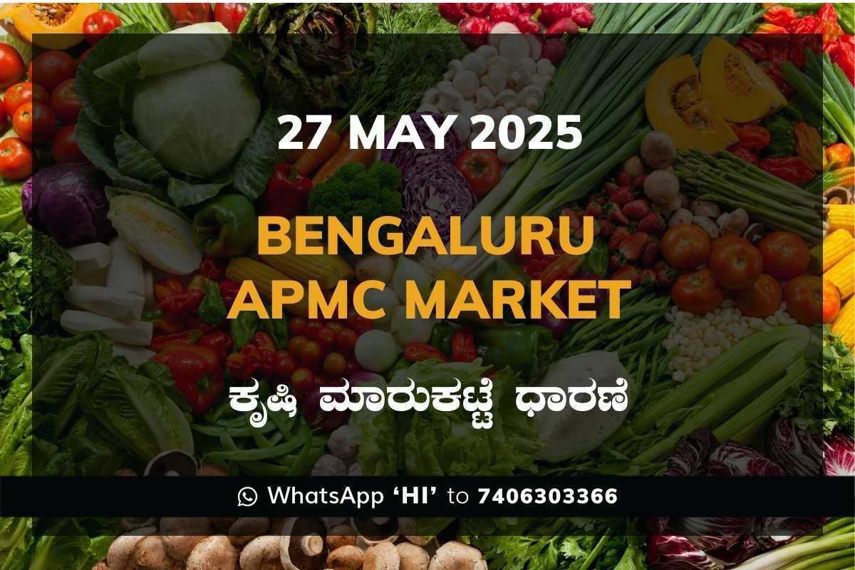 79 Bengaluru APMC Agriculture Market Daily Price Report ಬೆಂಗಳೂರು ಕೃಷಿ ಮಾರುಕಟ್ಟೆ ಧಾರಣೆ