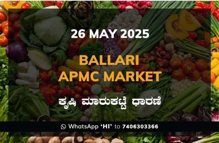 Ballari APMC Agriculture Market Daily Price Report ಬಳ್ಳಾರಿ ಕೃಷಿ ಮಾರುಕಟ್ಟೆ ಧಾರಣೆ
