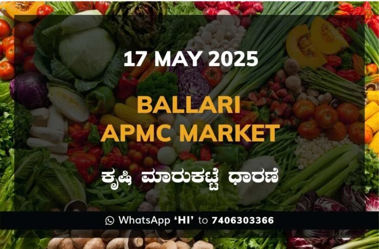 Ballari APMC Agriculture Market Daily Price Report ಬಳ್ಳಾರಿ ಕೃಷಿ ಮಾರುಕಟ್ಟೆ ಧಾರಣೆ