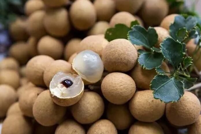 lychee fruit lychee fruit