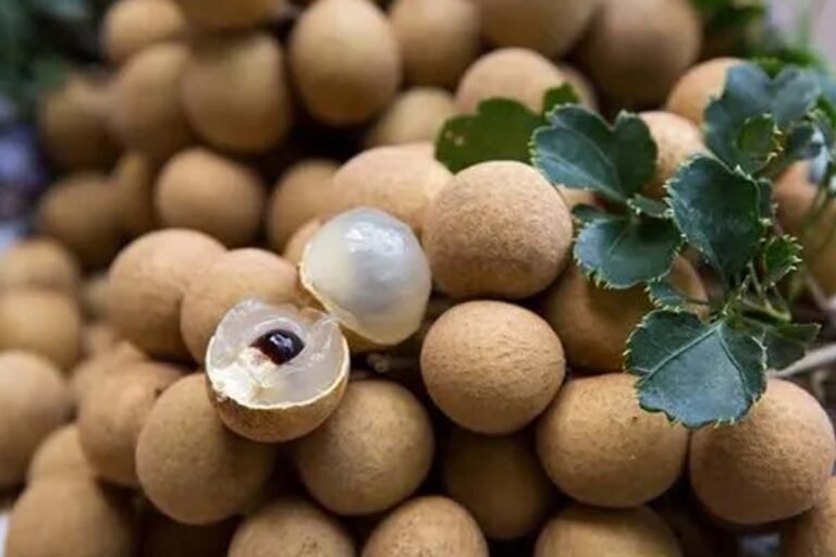 lychee fruit