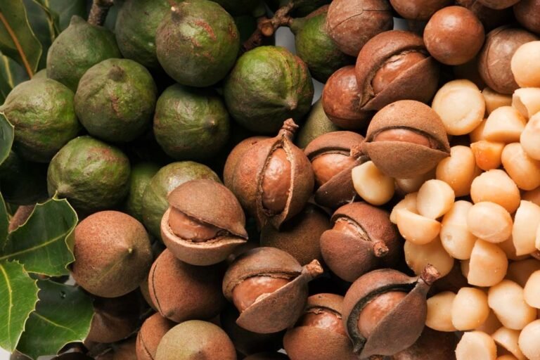 Macadamia crop