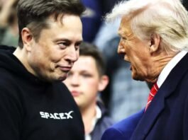 Elon Musk and Donald Trump