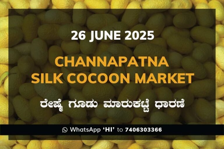 Channapatna Silk Cocoon Market Price Rate ಚನ್ನಪಟ್ಟಣ ರೇಷ್ಮೆ ಗೂಡು ಮಾರುಕಟ್ಟೆ ಧಾರಣೆ