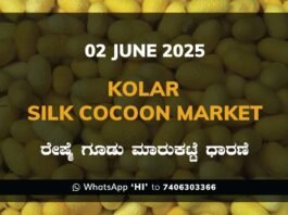 Kolar Silk Cocoon Market Price Rate ಕೋಲಾರ ರೇಷ್ಮೆ ಗೂಡು ಮಾರುಕಟ್ಟೆ ಧಾರಣೆ