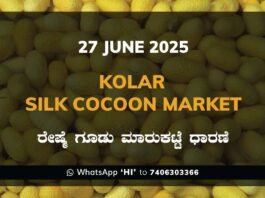 Kolar Silk Cocoon Market Price Rate ಕೋಲಾರ ರೇಷ್ಮೆ ಗೂಡು ಮಾರುಕಟ್ಟೆ ಧಾರಣೆ