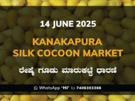 Kanakapura Silk Cocoon Market ಕನಕಪುರ ರೇಷ್ಮೆ ಗೂಡು ಮಾರುಕಟ್ಟೆ ಧಾರಣೆ