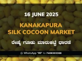 Kanakapura Silk Cocoon Market ಕನಕಪುರ ರೇಷ್ಮೆ ಗೂಡು ಮಾರುಕಟ್ಟೆ ಧಾರಣೆ