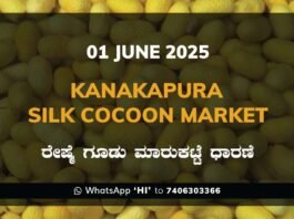 Kanakapura Silk Cocoon Market ಕನಕಪುರ ರೇಷ್ಮೆ ಗೂಡು ಮಾರುಕಟ್ಟೆ ಧಾರಣೆ