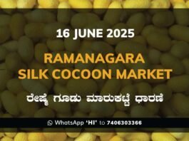Ramanagara Silk Cocoon Market ರಾಮನಗರ ರೇಷ್ಮೆ ಗೂಡು ಮಾರುಕಟ್ಟೆ ಧಾರಣೆ