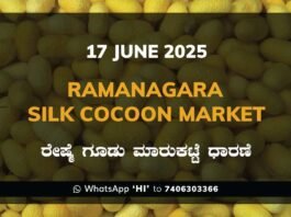 Ramanagara Silk Cocoon Market ರಾಮನಗರ ರೇಷ್ಮೆ ಗೂಡು ಮಾರುಕಟ್ಟೆ ಧಾರಣೆ