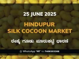 Hindupur Government Silk Cocoon Market Daily Rate Report ಹಿಂದೂಪುರ ರೇಷ್ಮೆ ಗೂಡು ಮಾರುಕಟ್ಟೆ ಧಾರಣೆ